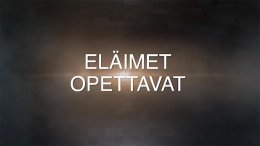 Eläimet opettavat