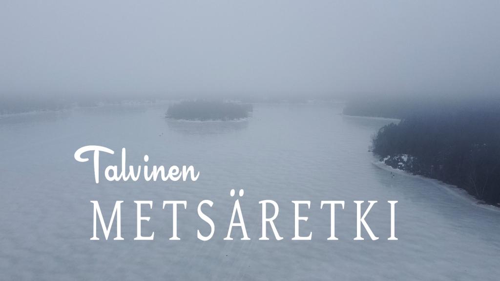 Talvinen metsäretki